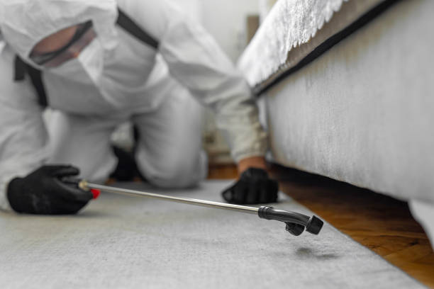 Professional Termite Control technician working in Grabill, IN