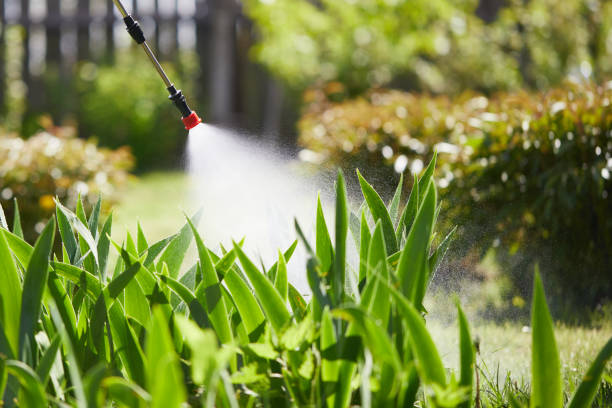 24/7 Emergency Termite Control experts in Grabill, IN