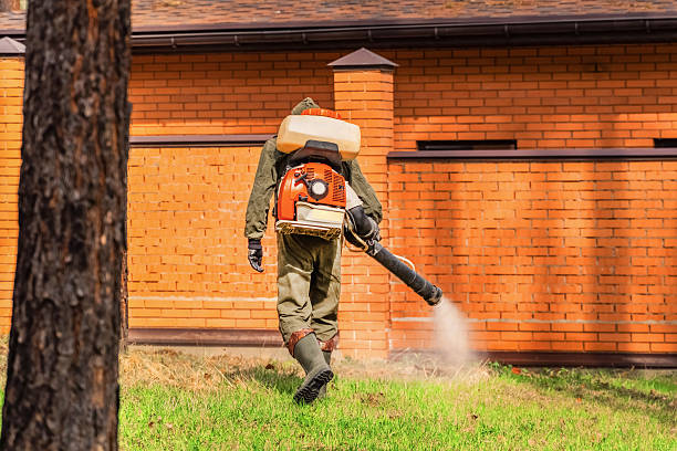 Trusted Cockroach Control service in Grabill, IN - Nex Pest Control